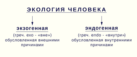 Экология Человека Экология Человека